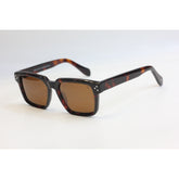 tortoise brown
